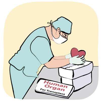 医学翻译,翻译公司,正朔翻译公司